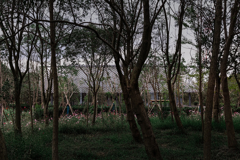 intco center china by scenic architecture office doarchi