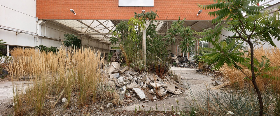 Garden of the Future by Atelier Partero