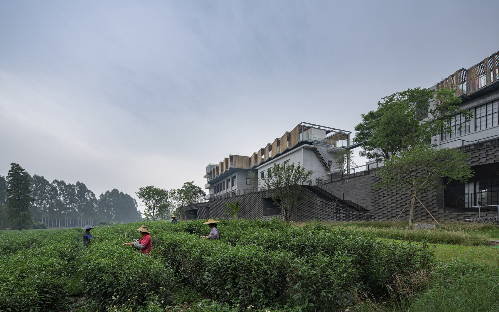 reforming duichuan tea yards china by o office architects