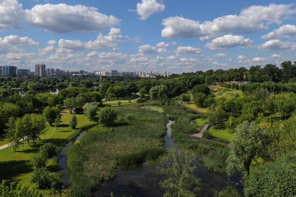 Park on the banks of the moskva river WOWHAUS