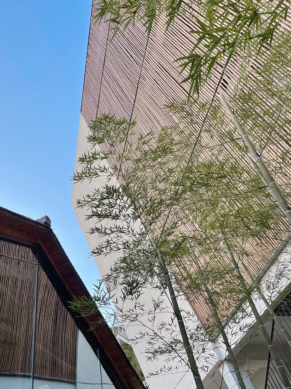 bin lin cheng transformation of rural residential accommodation china by no studio