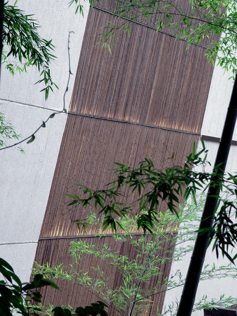 bin lin cheng transformation of rural residential accommodation china by no studio