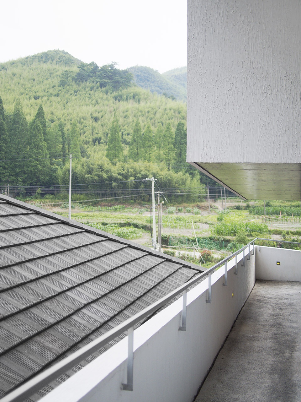 dibeli china by temp architects