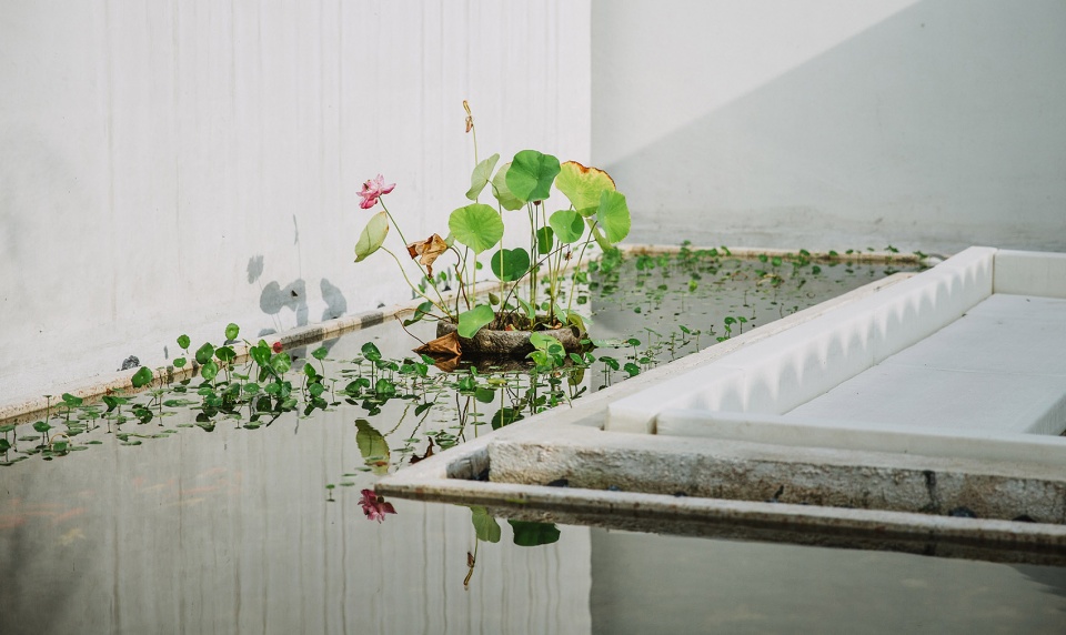 bin lin cheng transformation of rural residential accommodation china by no studio