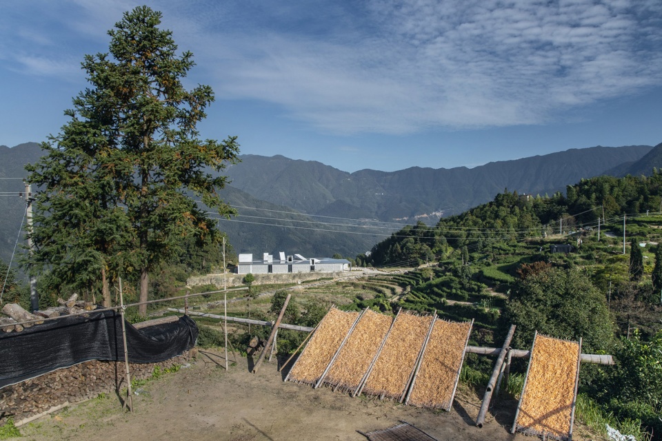 huiming tea space china by xu tiantian dna design and architecture
