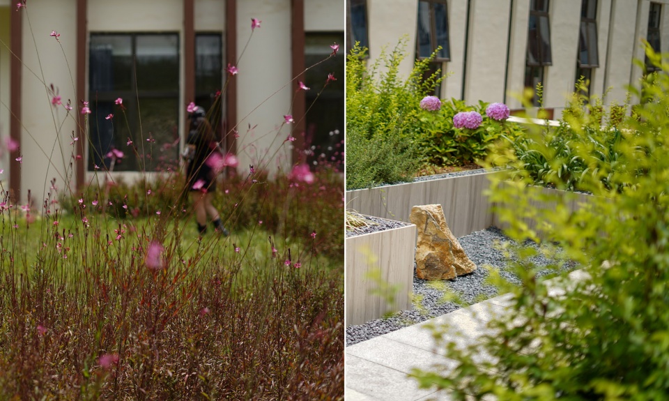 Panzhou Traditional Chinese Medicine Hospital Landscape Design Mind Studio