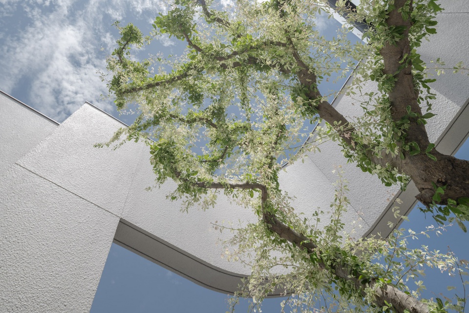 55 Sathorn house by Kuanchanok Pakavaleetorn Architects
