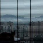 小住｜远眺，重庆 / 無奇空间设计研究室