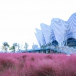 西安奥体中心景观设计 / 中国建筑西北设计研究院有限公司装饰环艺院