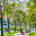 西安奥体中心景观设计 / 中国建筑西北设计研究院有限公司装饰环艺院