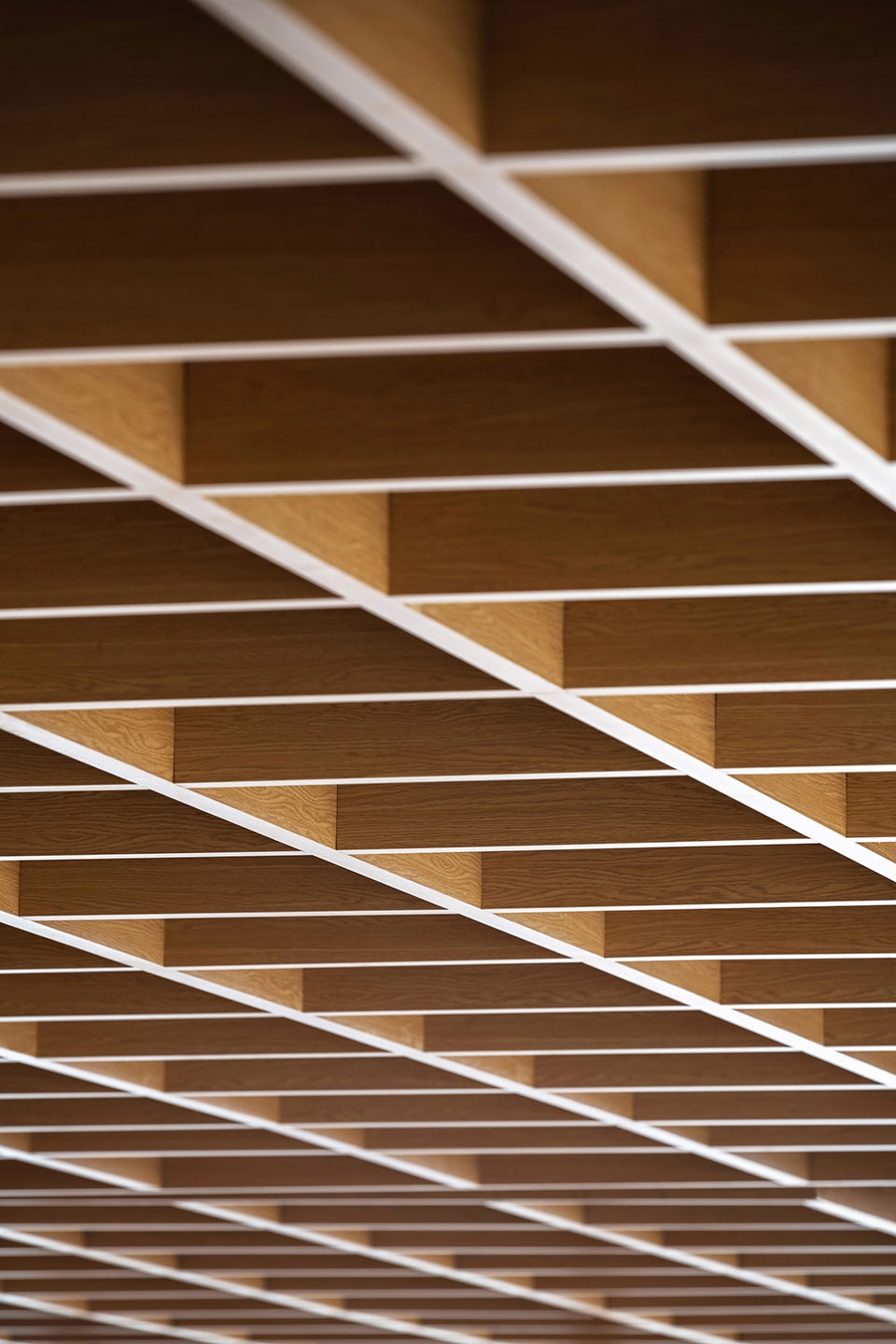 sky office china by muda architects