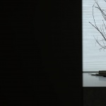 小住｜远眺，重庆 / 無奇空间设计研究室