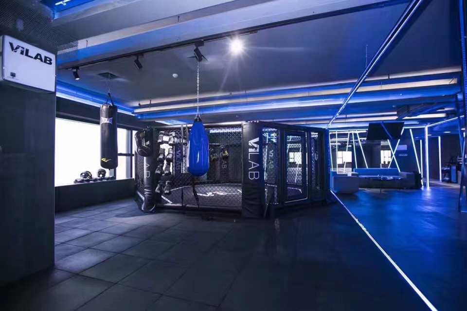 boxing VLAB
