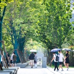 西安奥体中心景观设计 / 中国建筑西北设计研究院有限公司装饰环艺院