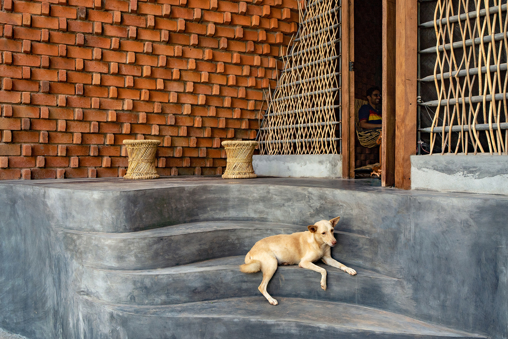 pirouette house by wallmakers