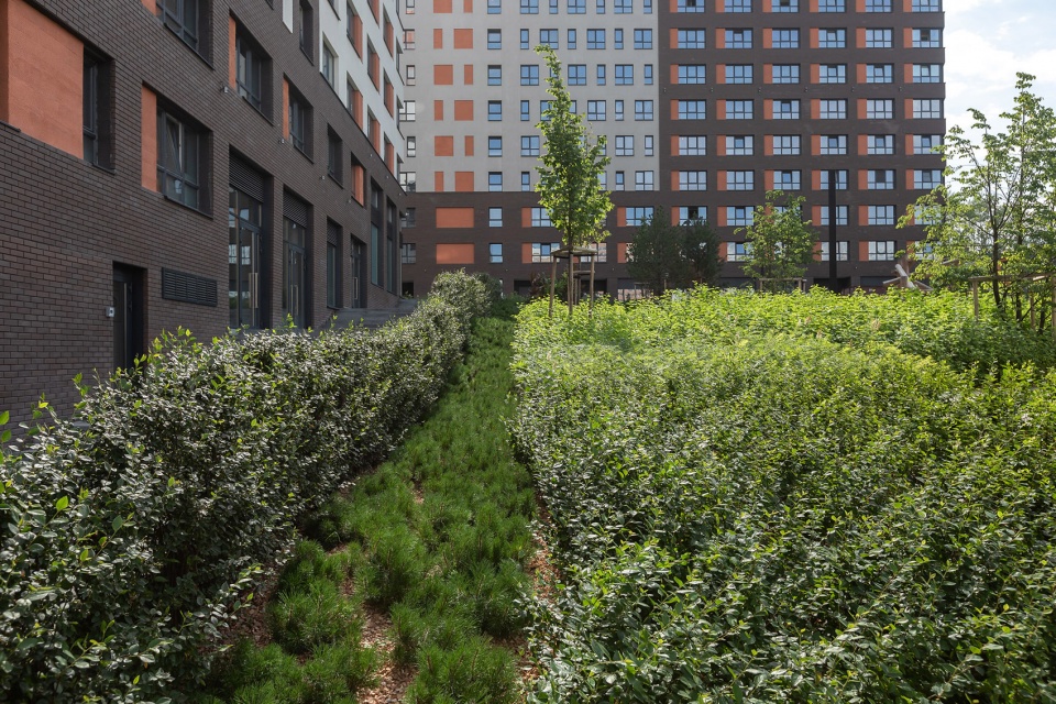 pedestrian canyon shishimskaya gorka by sp architektura krajobrazu brusnika design
