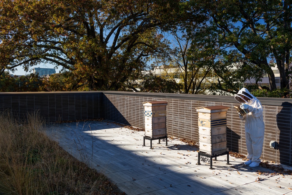 kendeda building by miller hull