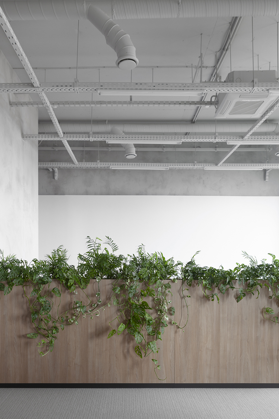 luch 6 office by kotra architects