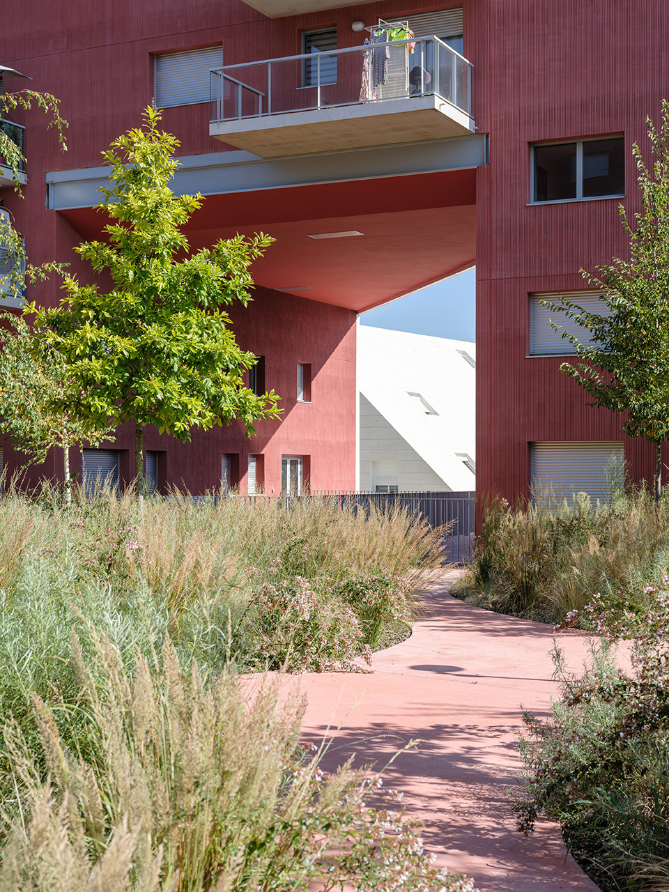ilot queyries by mvrdv