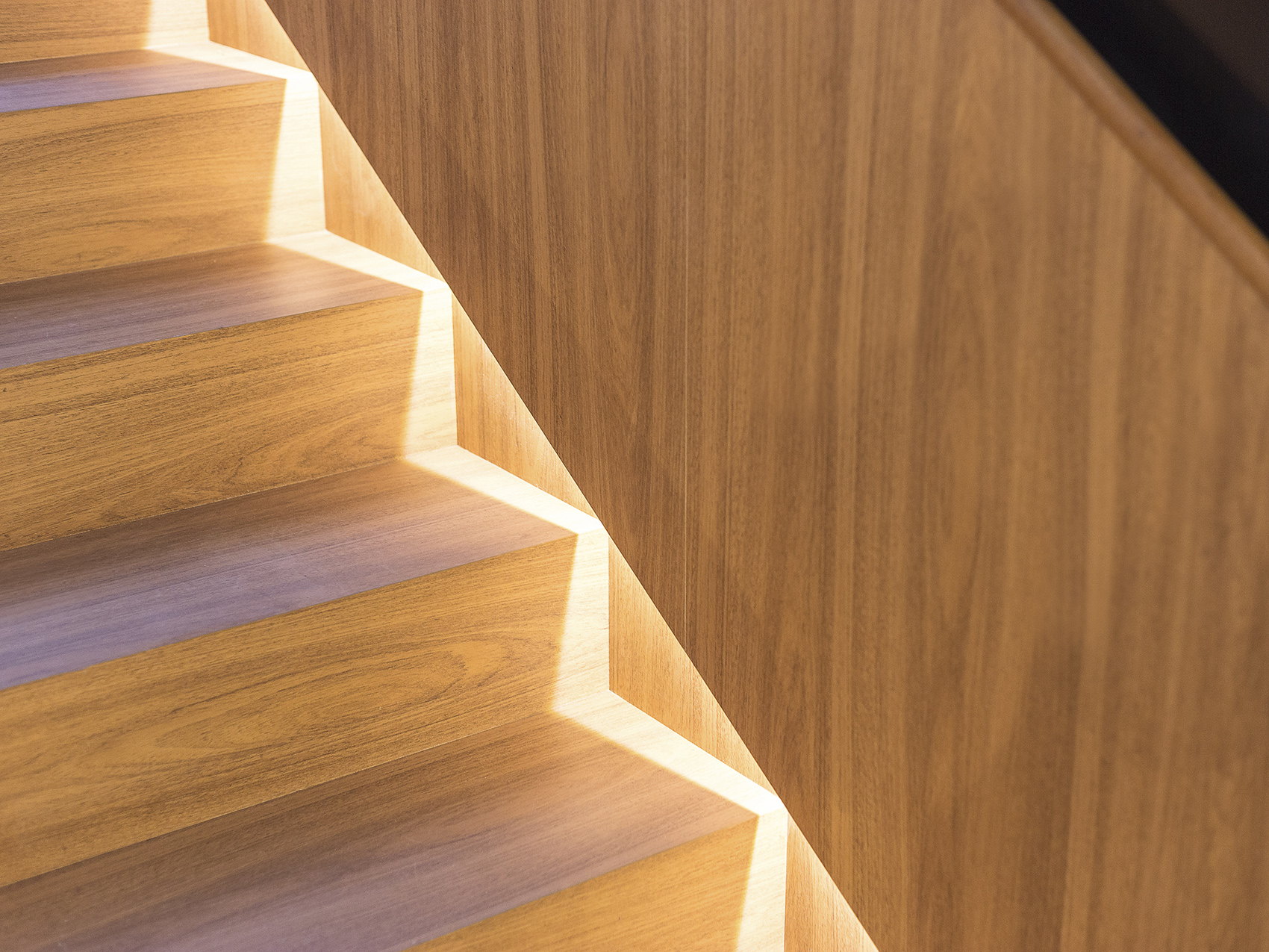 abf place by maena design conecta