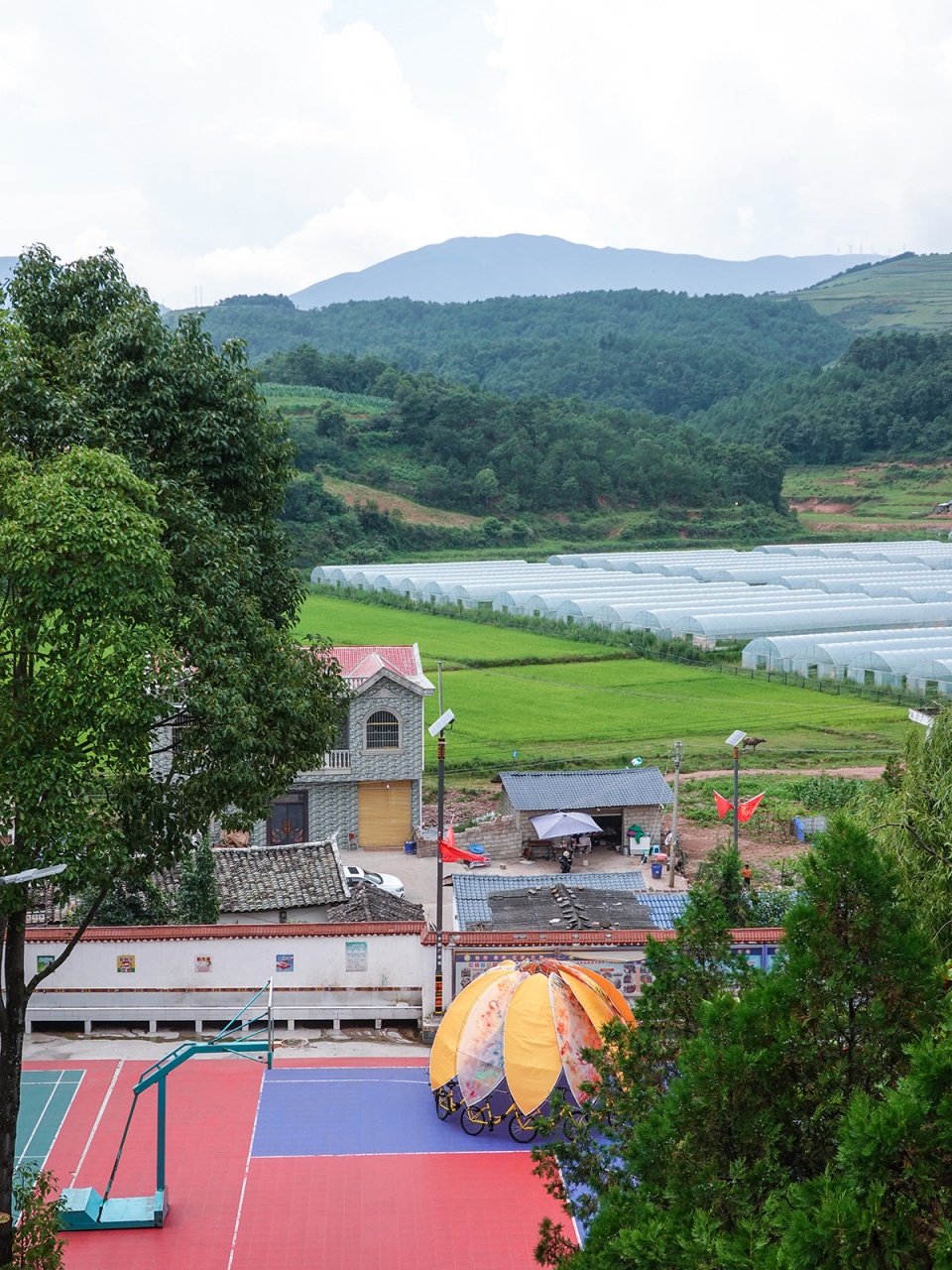 blooming time program spark 2021 china by one take architects
