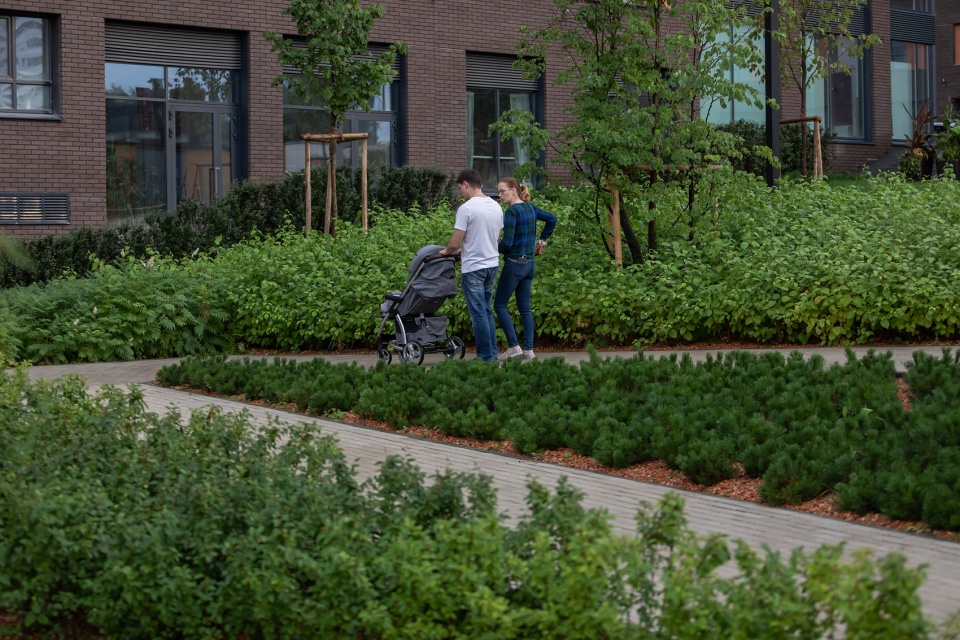 pedestrian canyon shishimskaya gorka by sp architektura krajobrazu brusnika design