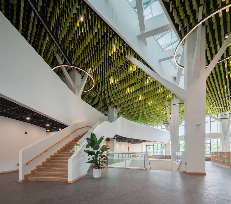 chengdu montpellier primary school extension design china by cswadi