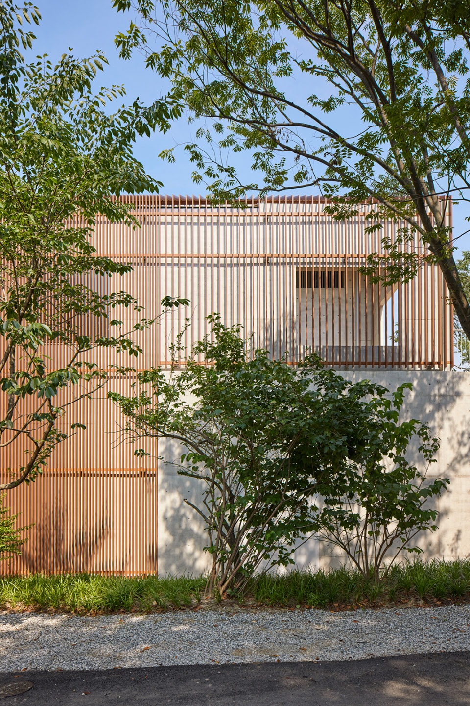 S A L T house by S E E D haus