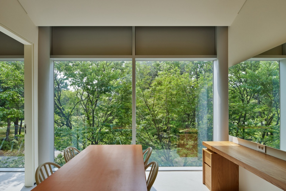 S A L T house by S E E D haus
