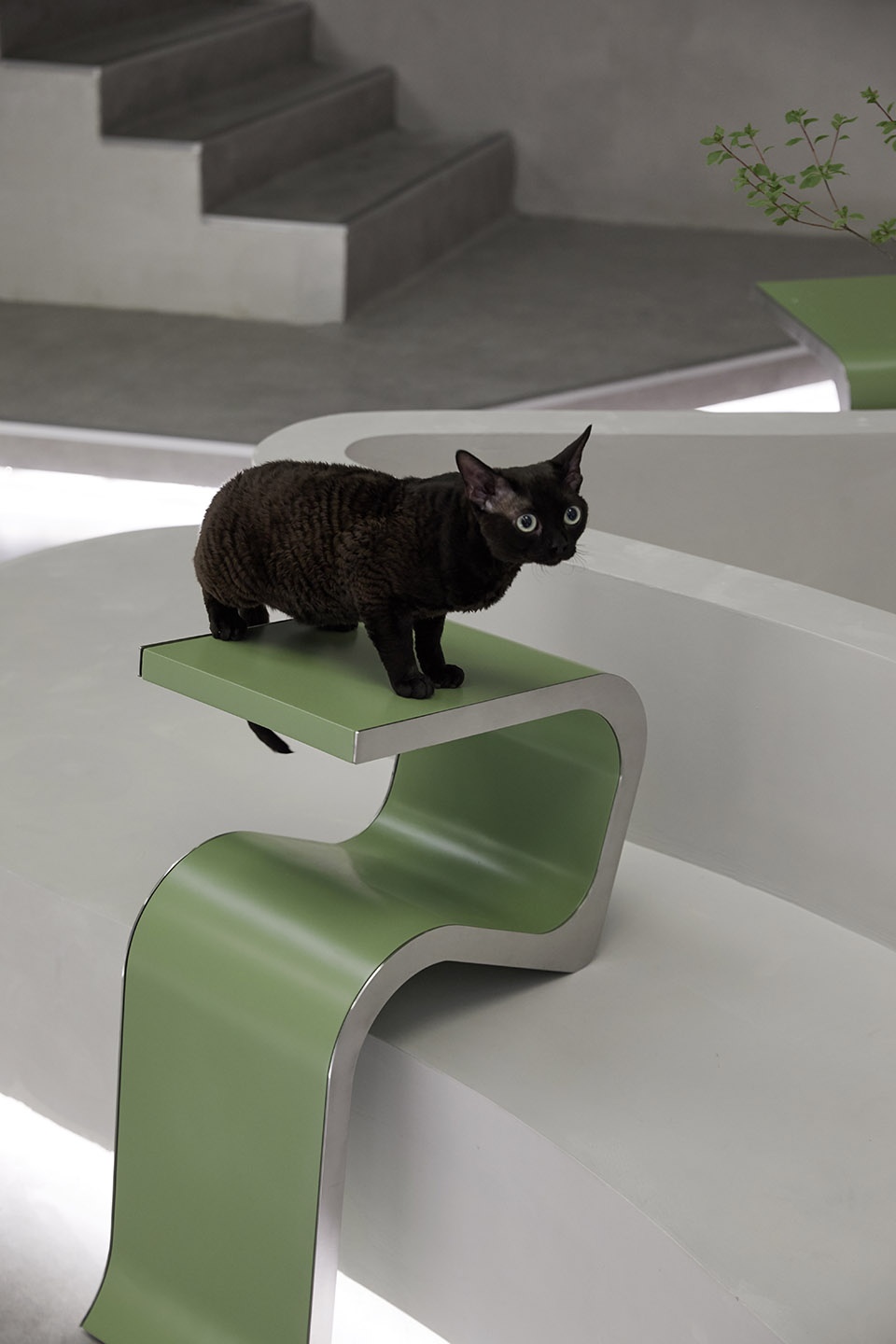 springfield pet hospital china by shejin space design office