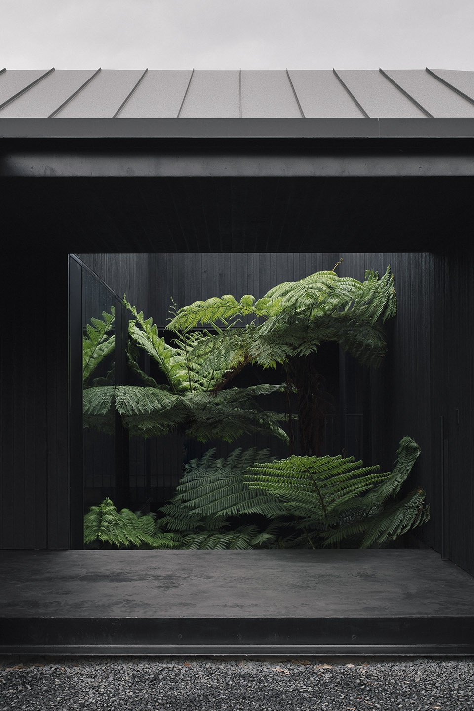 federal house australia by edition office