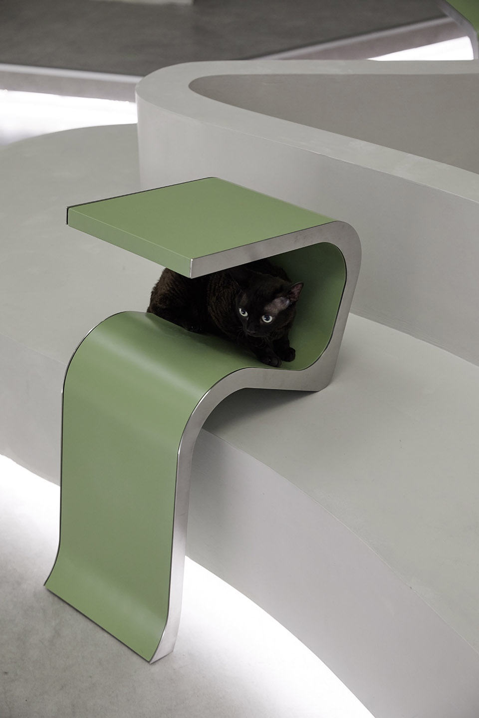 springfield pet hospital china by shejin space design office