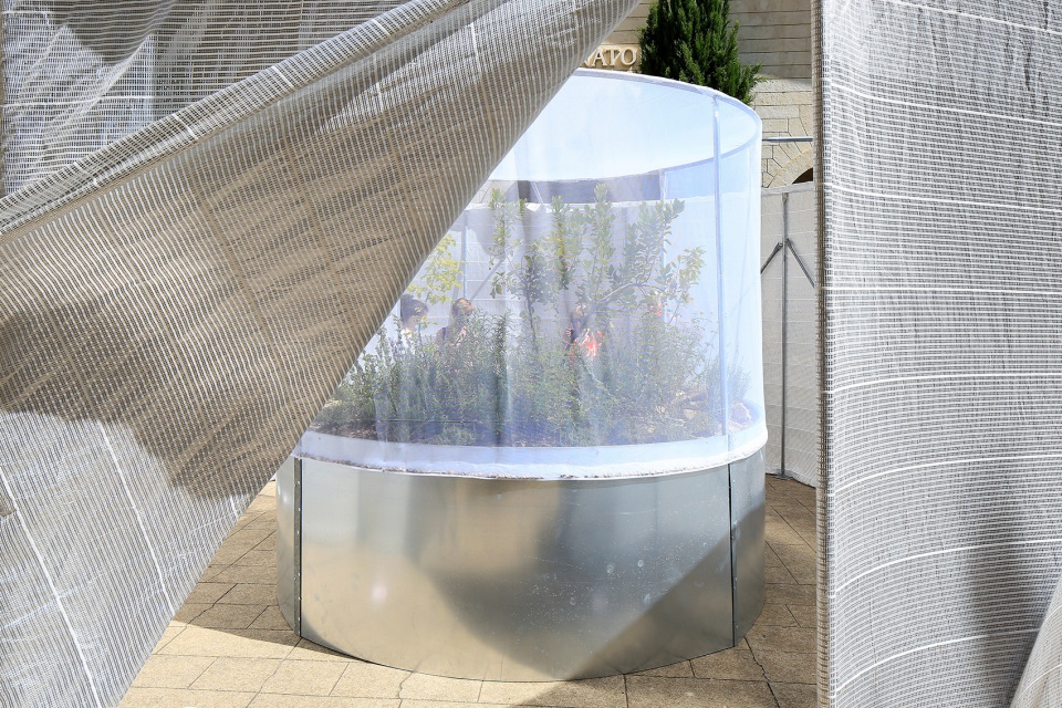 festival des architectures vives 2021 beauty