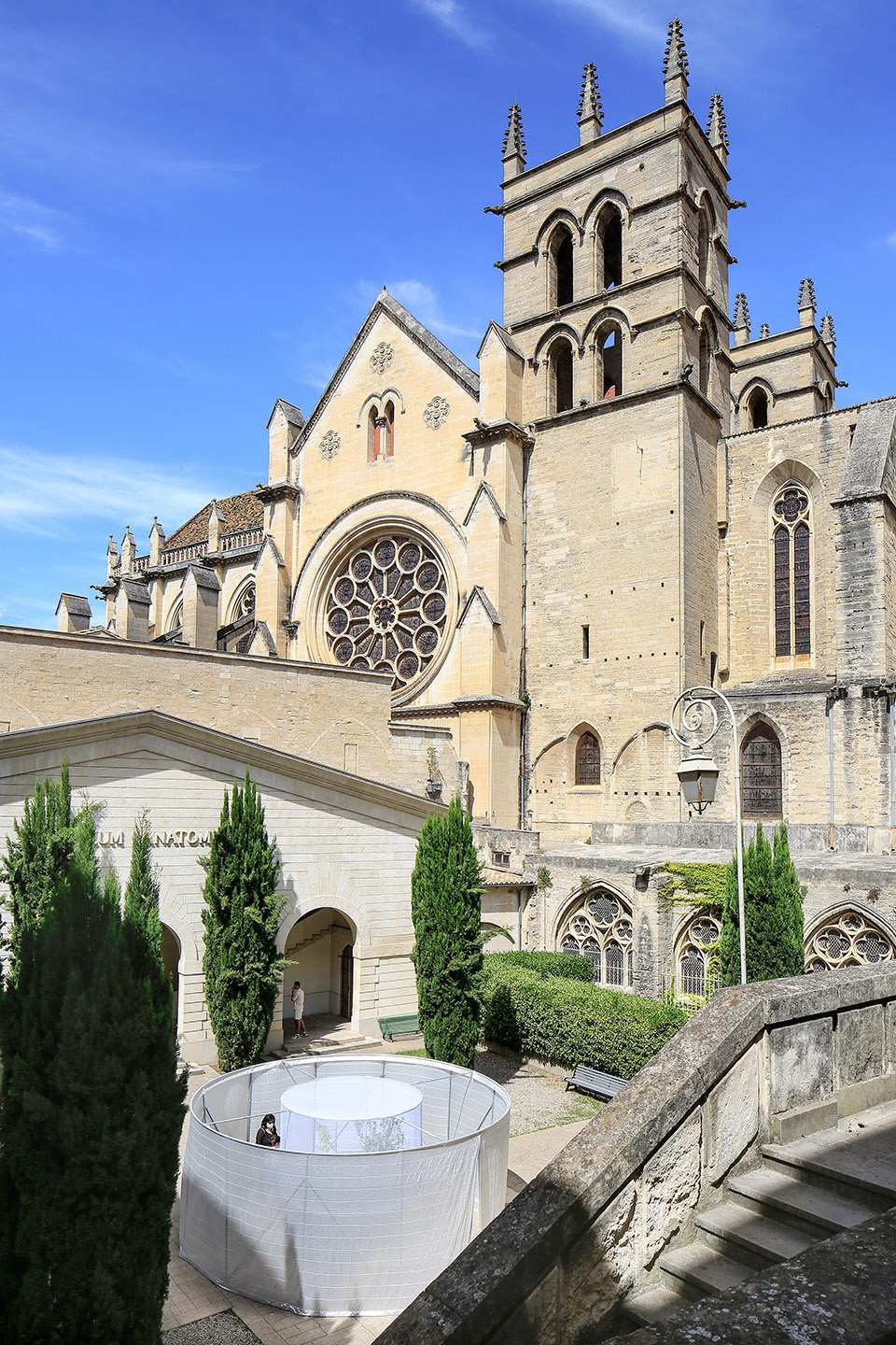 festival des architectures vives 2021 beauty