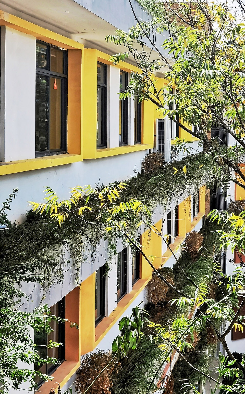 Yuxi High tech Primary School Oneself Alliance