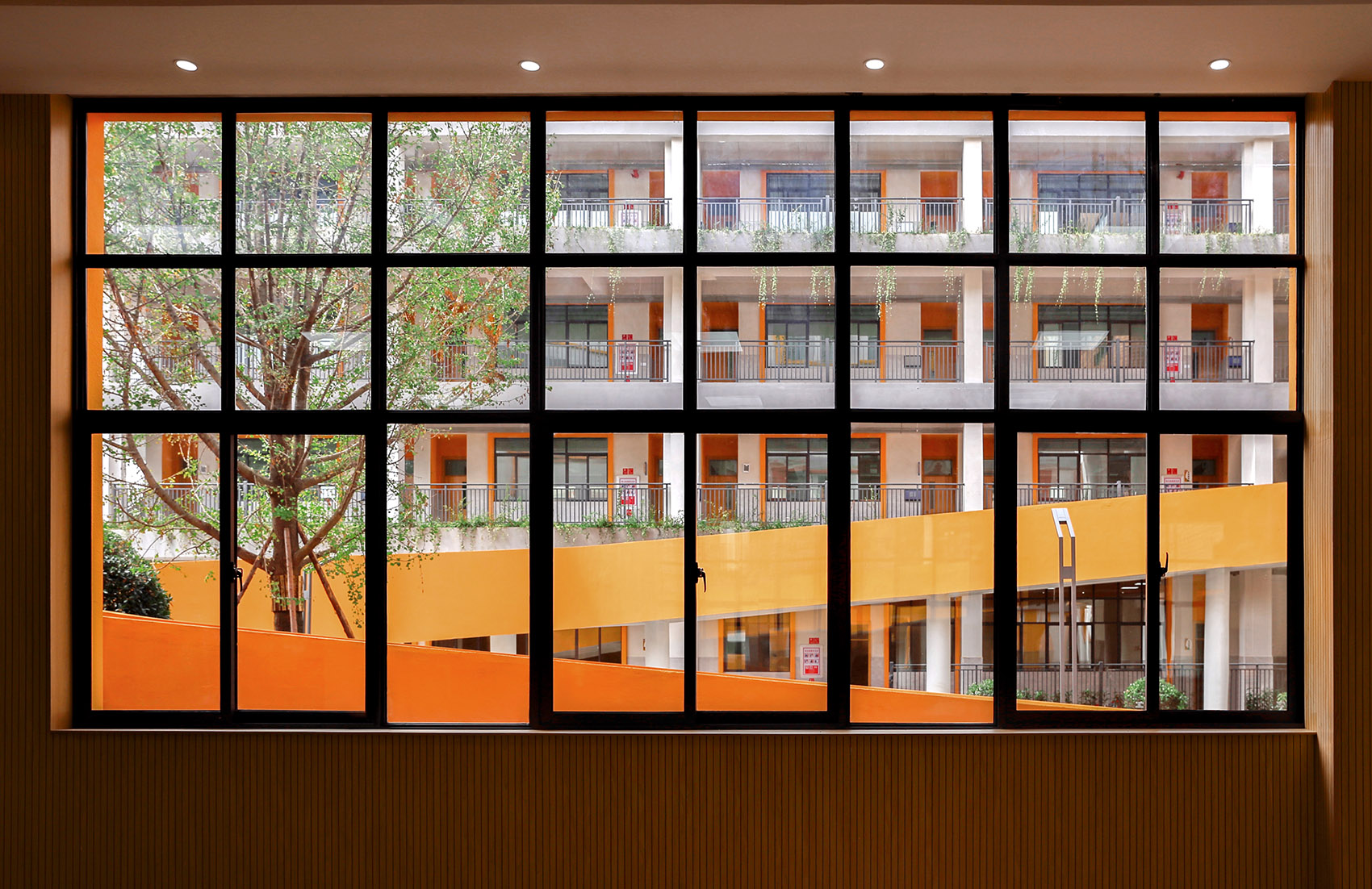 Yuxi High tech Primary School Oneself Alliance