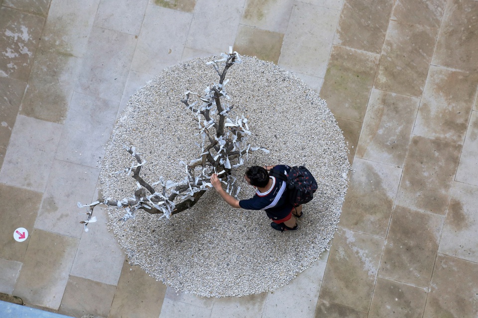 festival des architectures vives 2021 beauty