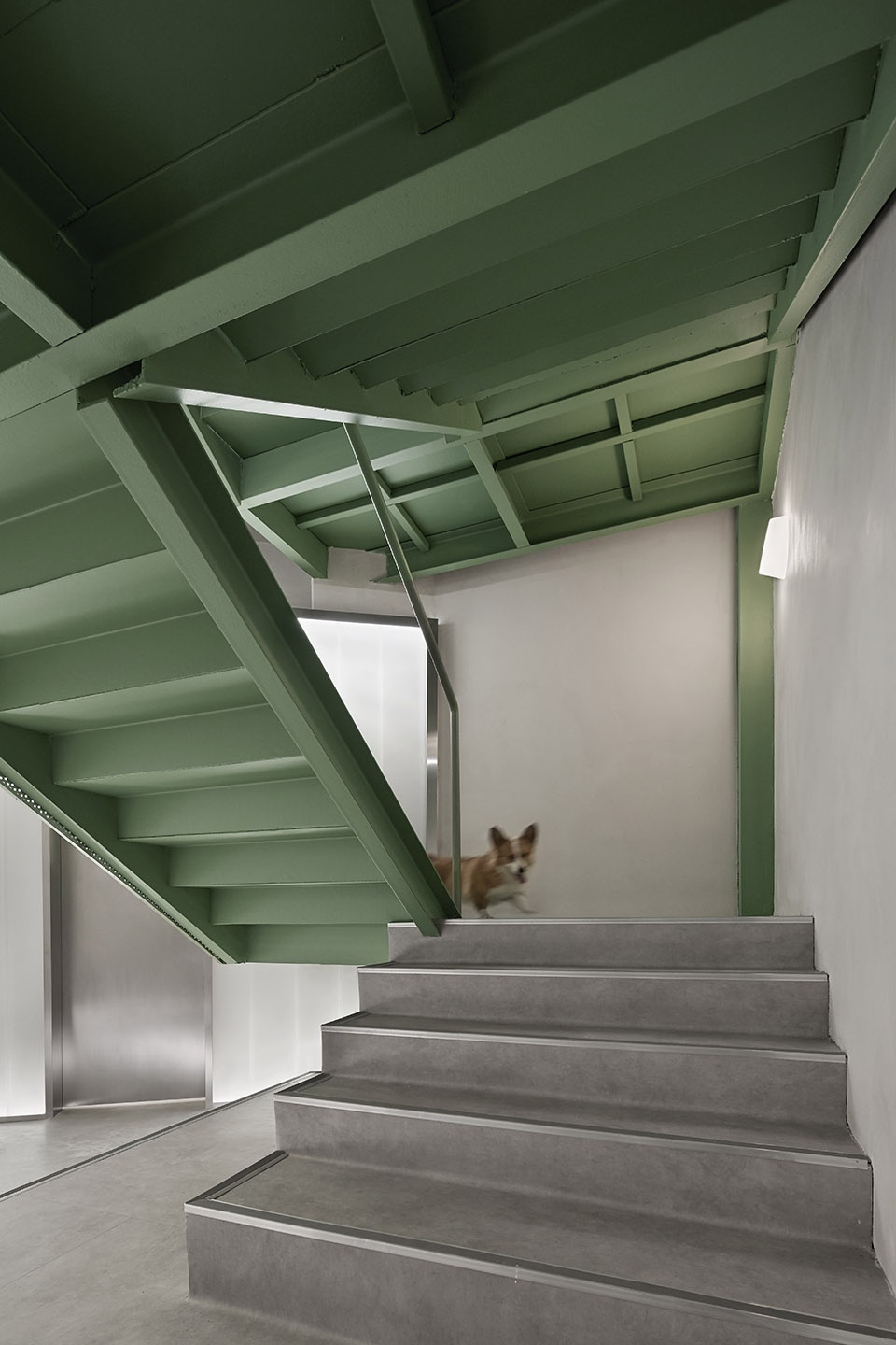 springfield pet hospital china by shejin space design office