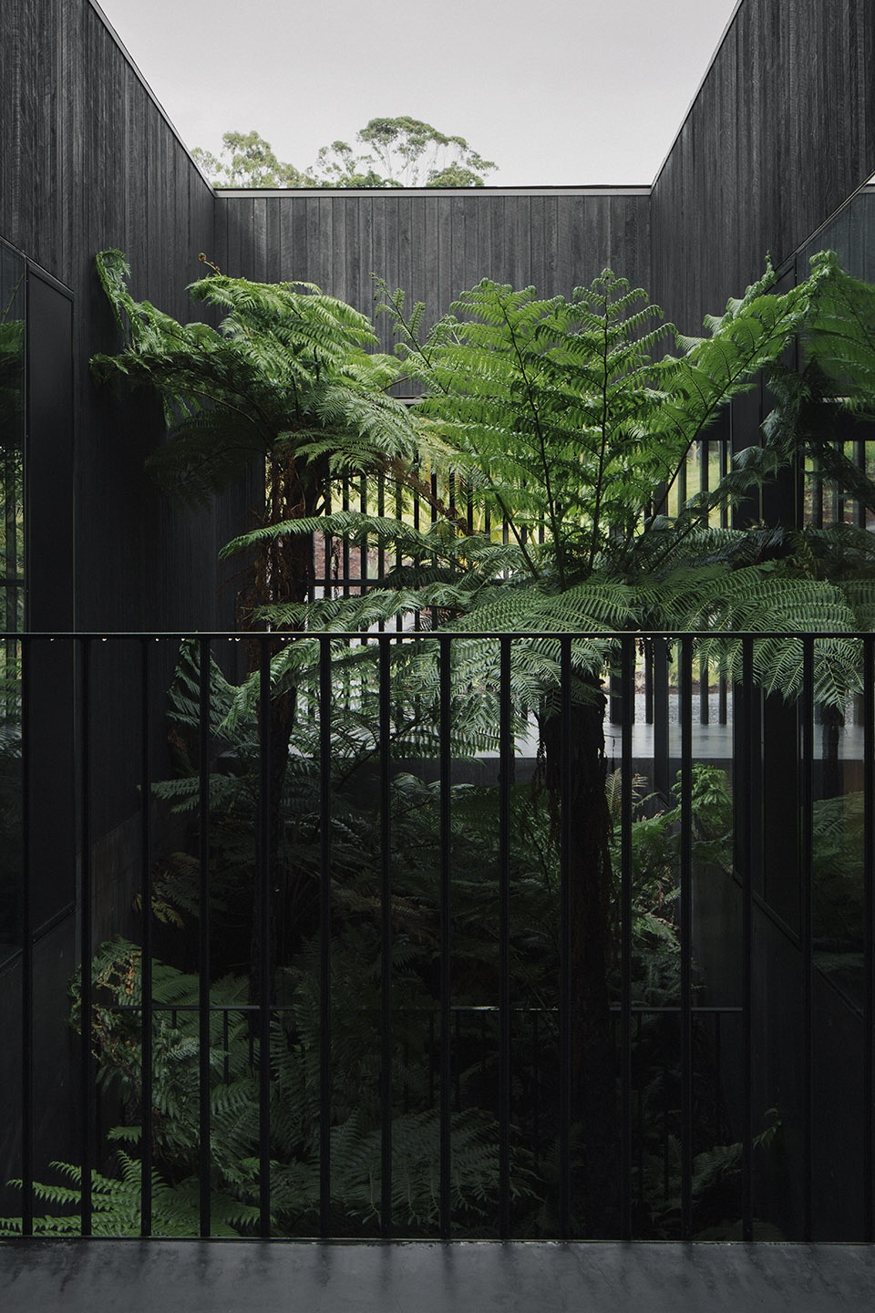 federal house australia by edition office