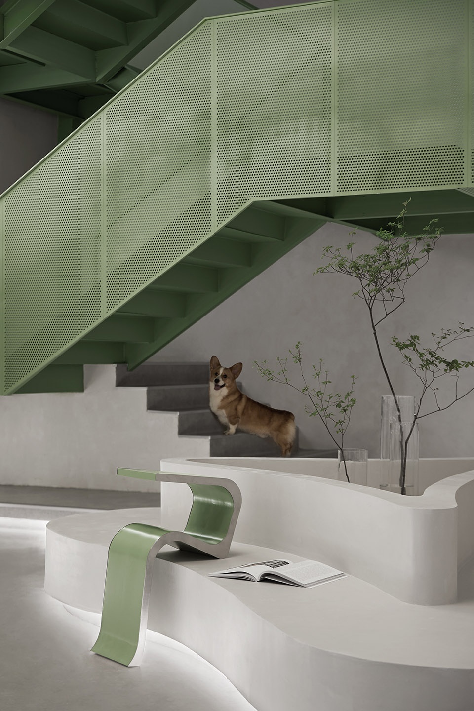 springfield pet hospital china by shejin space design office