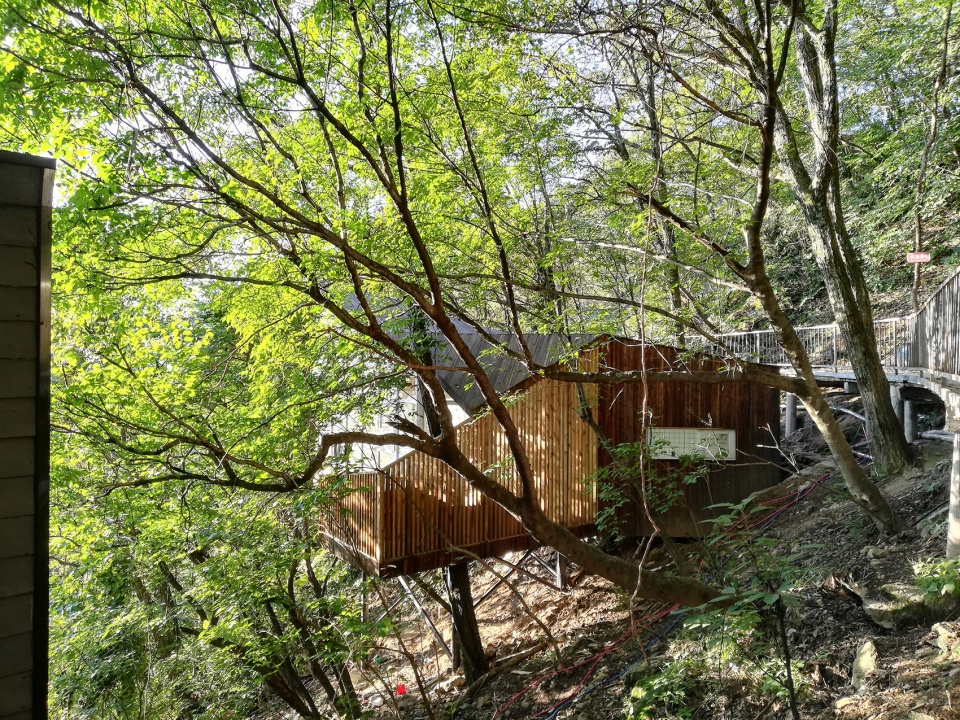 archive for summer climate adaptability strategies in residential buildings