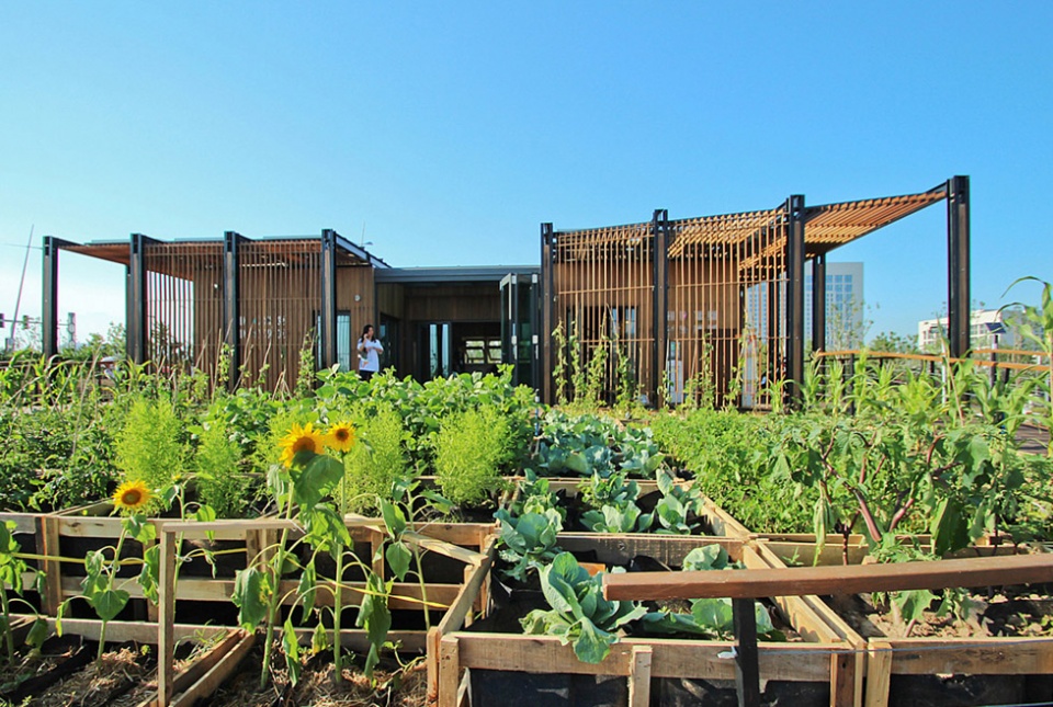 archive for summer climate adaptability strategies in residential buildings