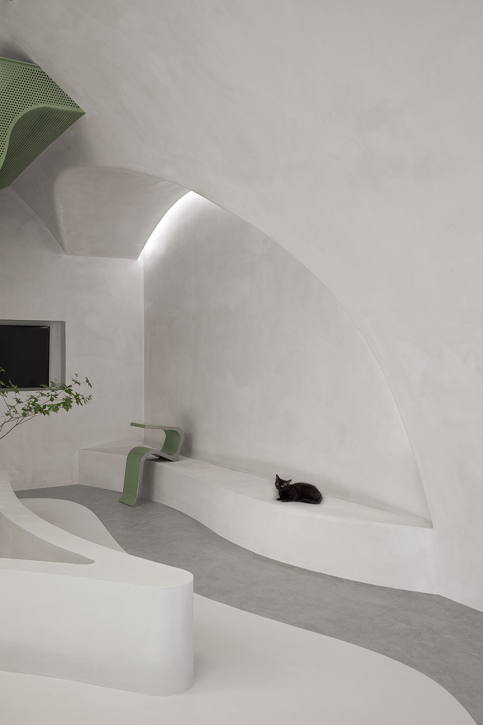 springfield pet hospital china by shejin space design office
