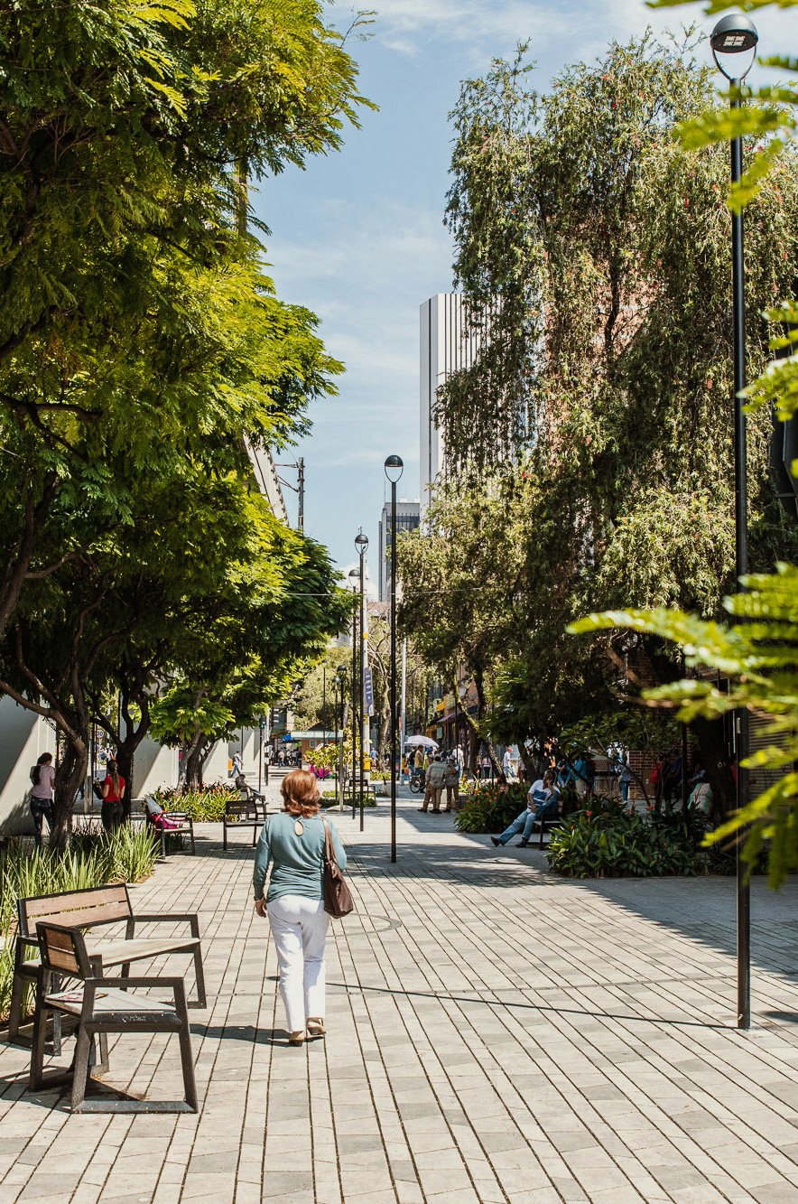 The tropics and the built landscape Urban Center of Medellin AEU Photo Carlos Puerta 1
