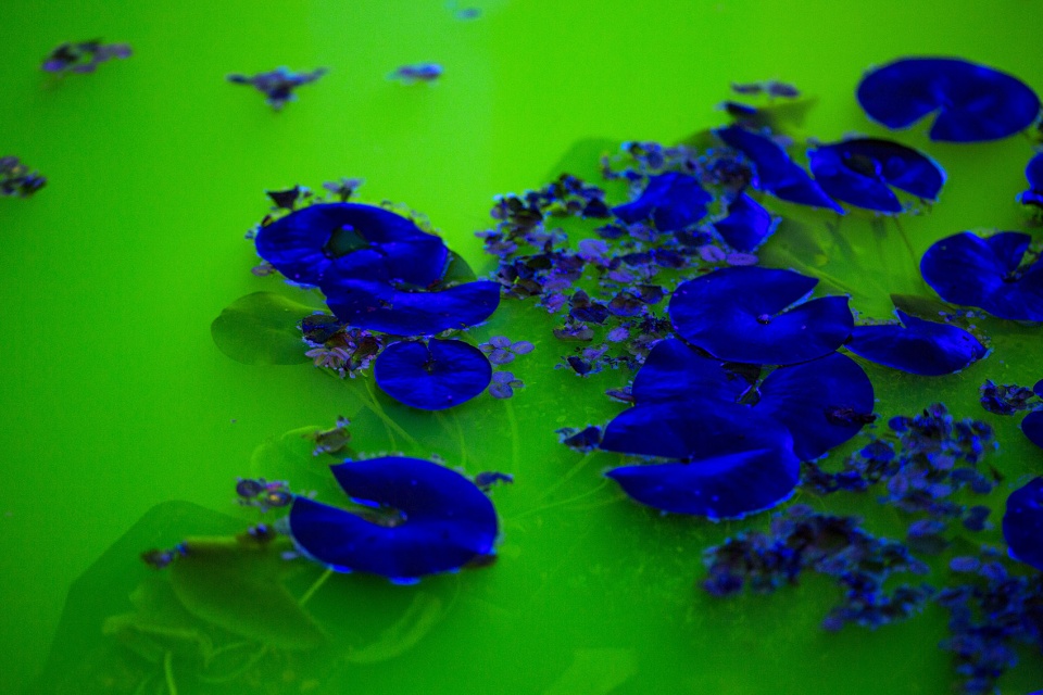 life by olafur eliasson