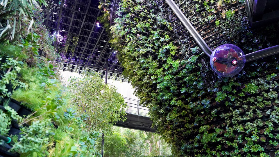Singapore Pavilion at Expo Dubai by WOHA