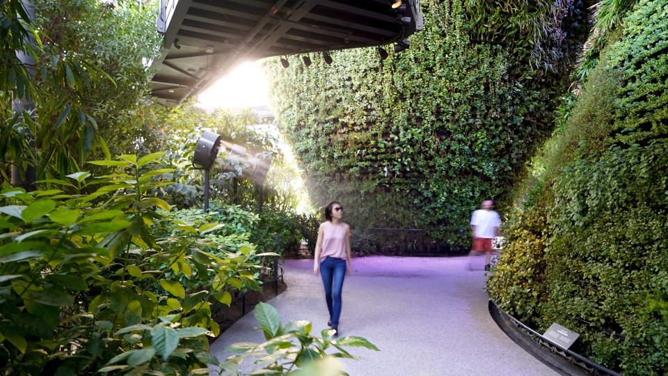 Singapore Pavilion at Expo Dubai by WOHA