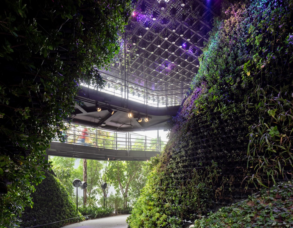 Singapore Pavilion at Expo Dubai by WOHA