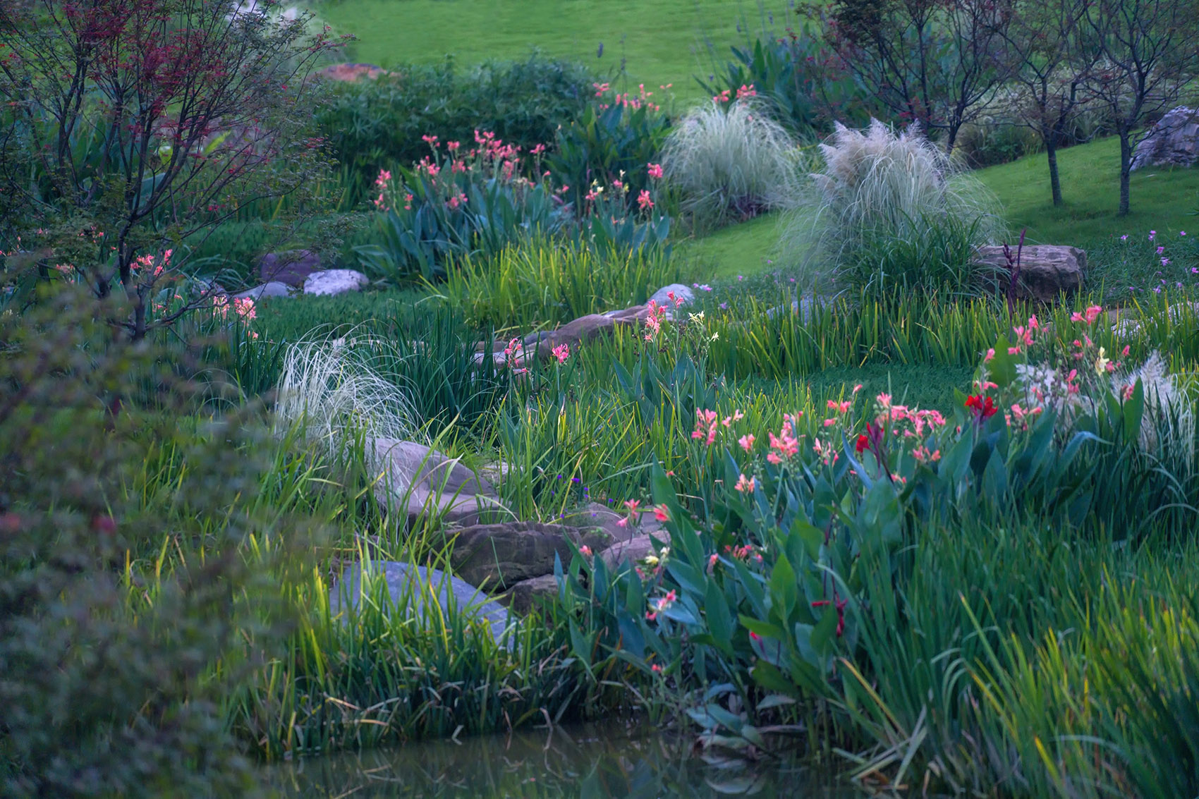aquatic wetland plant system08乐道景观▼草坡驳岸的自然草甸式