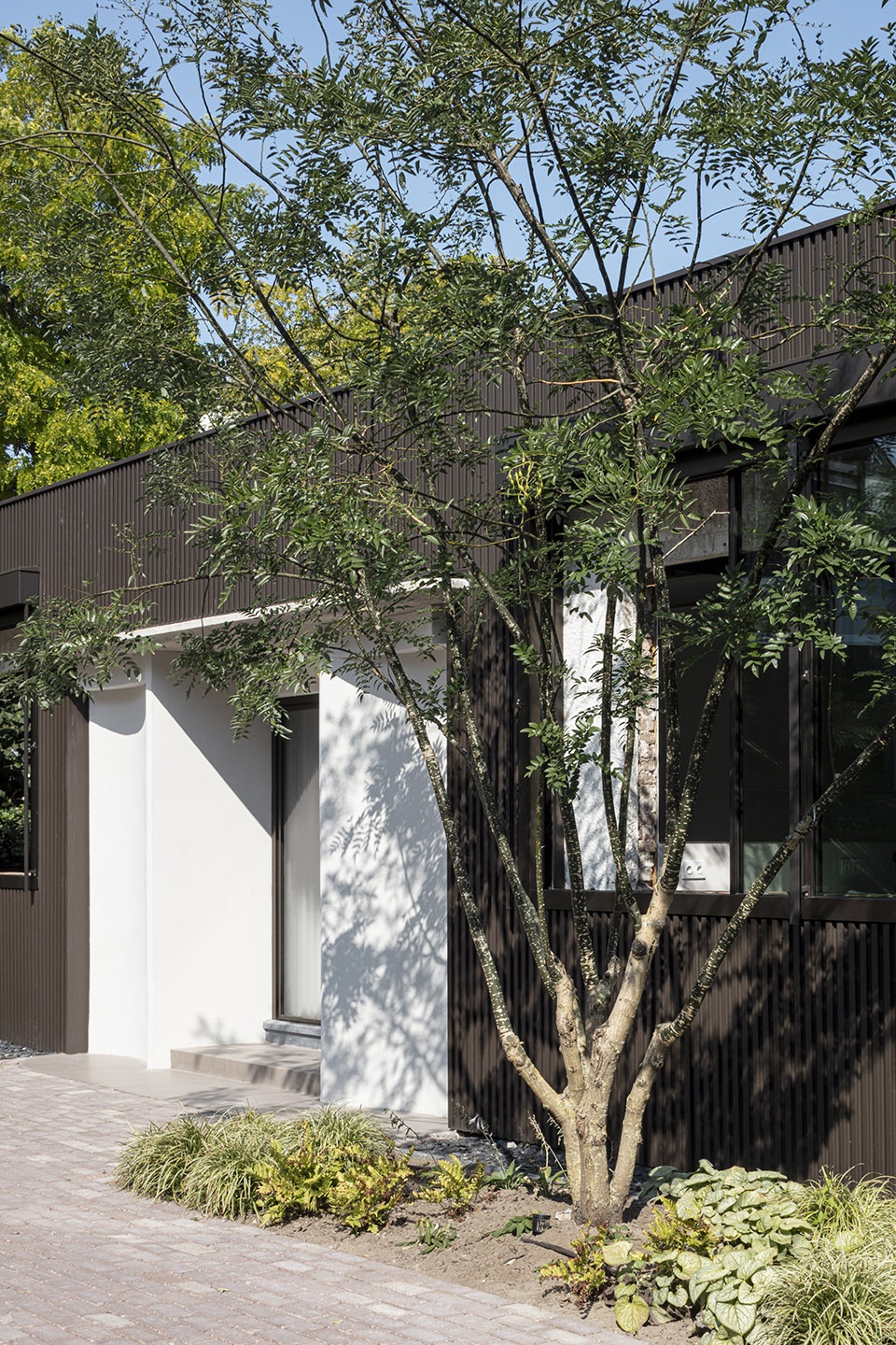 Villa West by MASA architects